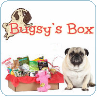 bugsysbox-2-1