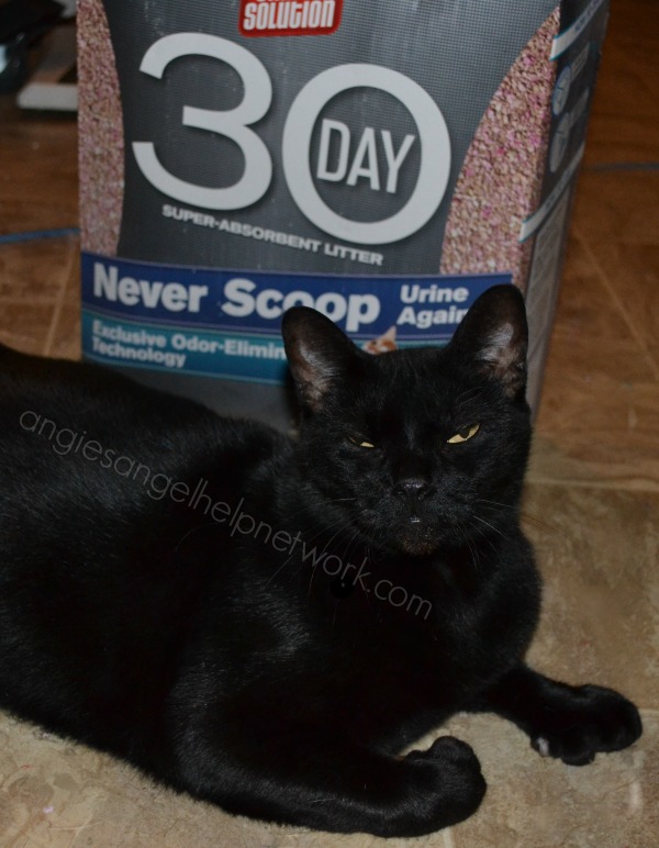 Simple Solution 30 Day Cat Litter Review