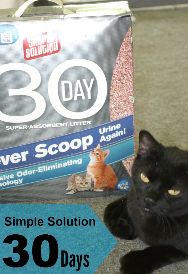 Simple Solution 30 Day Cat Litter Review