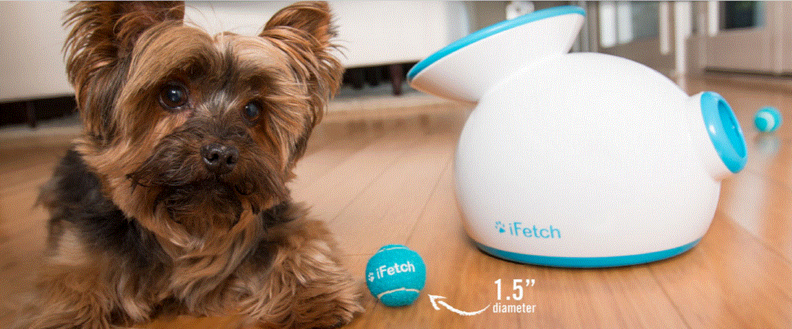 The Toy Your Dog Will Love - iFetch Review