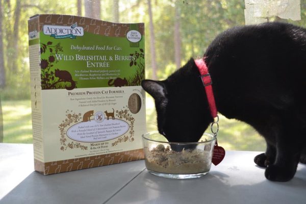 All Natural Hypoallergenic Addiction Dog and Cat Food