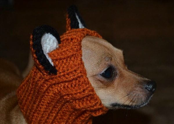 Zoo Snoods Will Keep Your Fur Babies Warm This Winter 