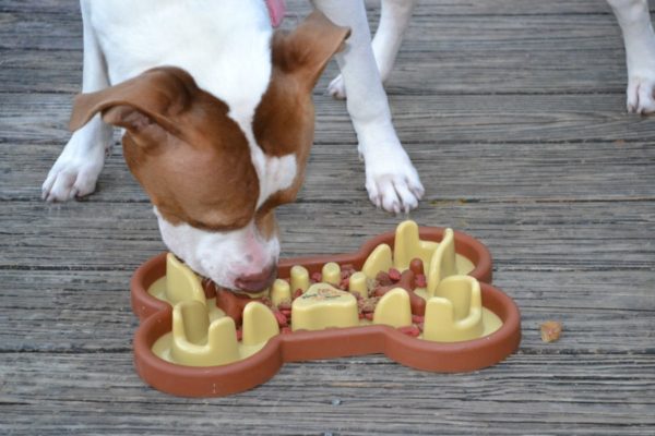 Muzzle Slow Feeder Bowl by Wag Haus