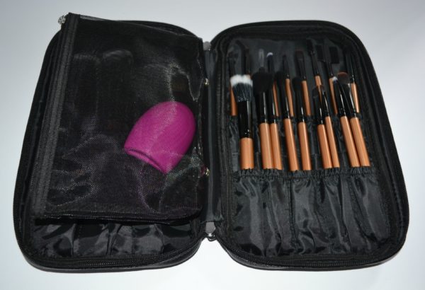 iLuminate 22pc Makeup Brush Set