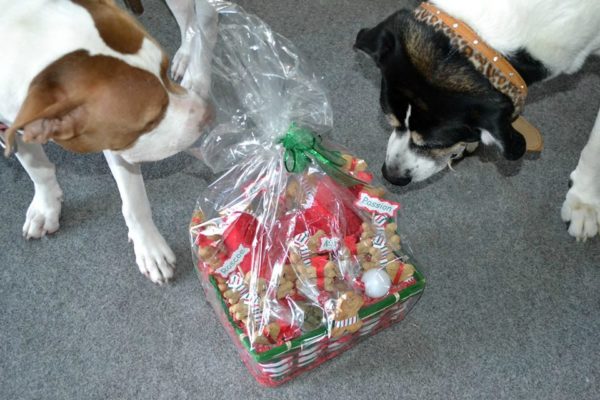Treat Worthy Pet Creations Makes Custom Treat Baskets For Your Furry Kids!