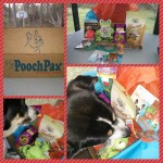 PoochPax Monthly Subscription Box