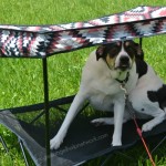 Quik Shade Pets Review