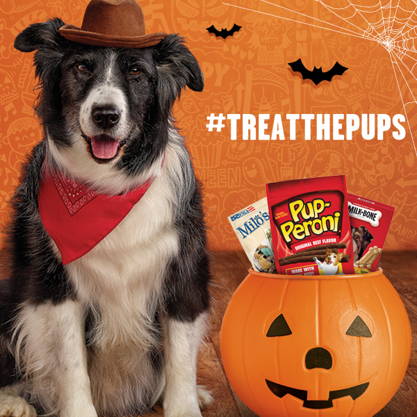 Big heart pet brands treatthepups gift card sweepstakes angie s