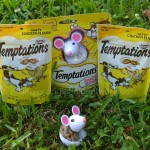 Temptations Snacky Mouse Toy