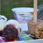 Yoplait Blueberry Cupcake & Chocolate Coconut Pops
