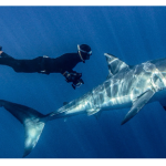 Make Big Changes In South Africa