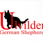 Promote Your Ulvilden Dog’s Superior Health with the Proper Dog Food
