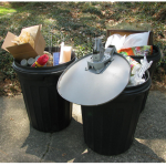 4 Tips For Avoiding Household Bug Infestations