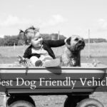 Best Dog Friendly Vehicle