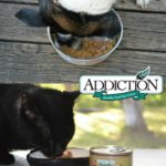 All Natural Hypoallergenic Addiction Dog and Cat Food