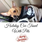 Holiday Car Travel With Pets