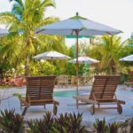 The essential guide of backyard design – What to do and what to avoid doing to your patio