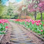 Prepare for Spring: 10 Lawn Care Tips for the Spring